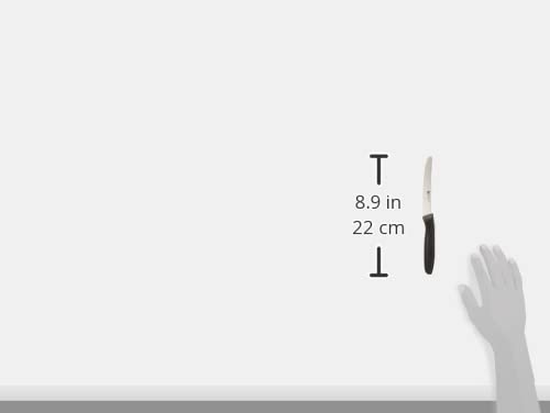 zwilling-twin-grip-messer-set-6-teilig-k-chenmesser-mit-12-cm-klinge-friodur-eis image 6